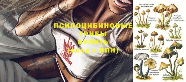 синтетический гашиш Алексеевка